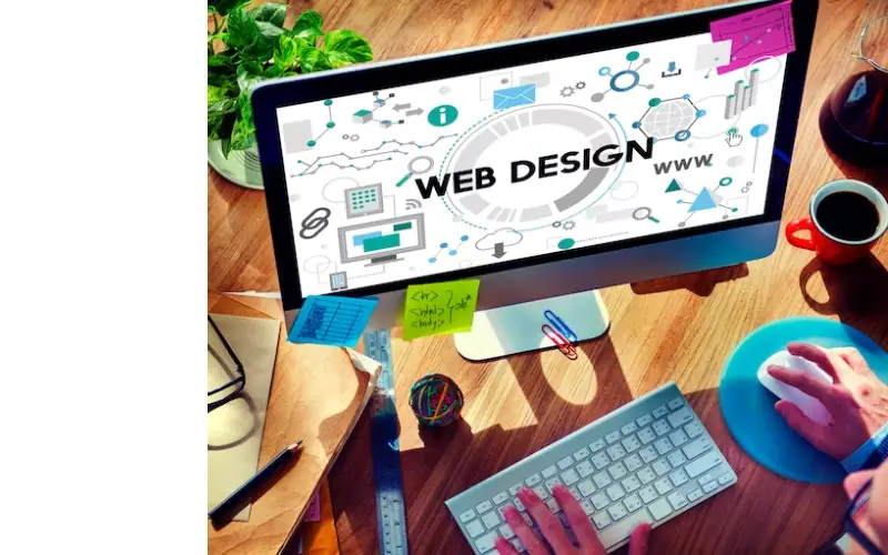Web Design Company in Tampa