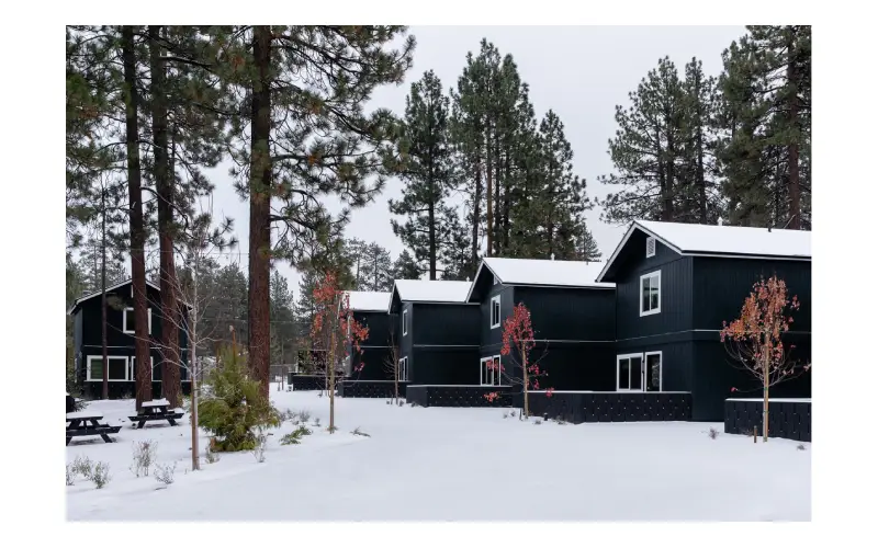 Escape to Enchantment: Unique Big Bear Stays for Magical Moments